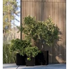 Kép 6/6 - Herbgarden Jungle Bag kerek 12L - szövet cserép 25x25xh25cm