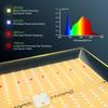 Marshydro Quantum Full Spectrum 3000 Led grow light lámpa növénytermesztéshez