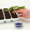 Growth Technology Root Riot 24 kocka tálca - bio starter kockák magokhoz és dugványokhoz
