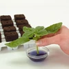 Kép 3/4 - Growth Technology Root Riot 100 kocka - bio starter kockák magokhoz és dugványokhoz