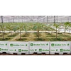 Kép 2/2 - Grodan Delta kőzetgyapot kocka termesztőközeg 6,5G 100x100x60 mm ⌀ 27mm lyuk 