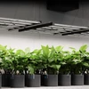 Kép 8/8 - IONFRAME EVO4 Samsung LM301H EVO Commercial LED Grow Light lámpa 300W