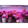 Kép 11/11 - Herbgarden LED lámpa növényeknek 36x3w 115 cm - teljes spektrum