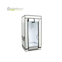 HOMEbox Ambient Q60+ 60x60x160cm Growbox-Növénytermesztősátor
