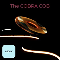 Grow The Jungle The Cobra COB 6500K 10W/1m FULL SPECTRUM 10m LED termesztőszalag + meghajtó és csatlakozók 