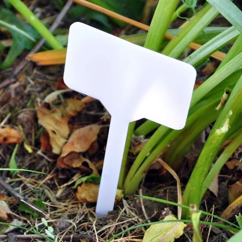 Növénycímkék / növények jelölésére szolgáló táblák 10x6cm / 100 db 