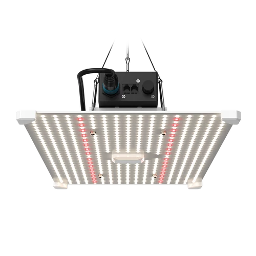 LED LUMii BLACK Blade 200w LED grow lámpa 