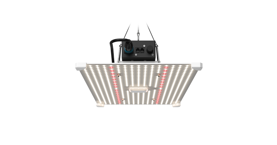 LED LUMii BLACK Blade 200w Led grow light lámpa